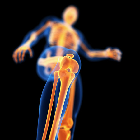 32521576 - medical 3d illustration of skeletal knee